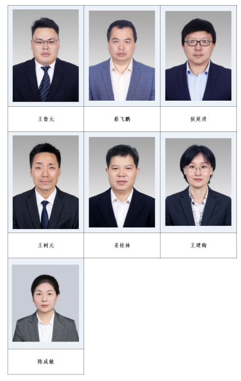 王鲁元